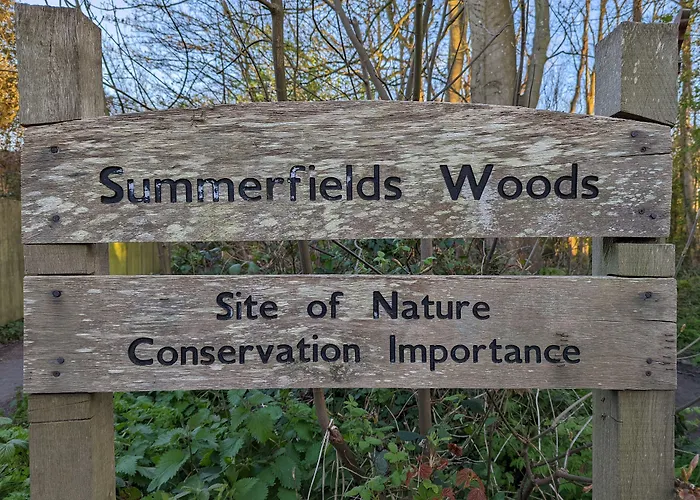 Summerfields House